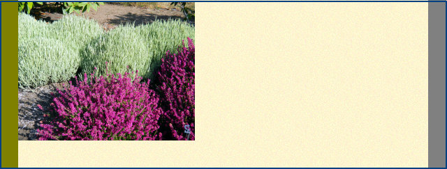 hhweb001010.jpg
